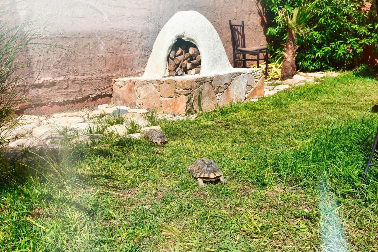 Route De Miel Apartman Agadir Kültér fotó